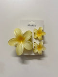 Flower Clip Combo